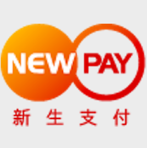 新生支付