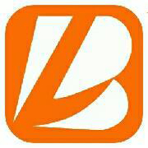 安徽博领网络科技有限公司