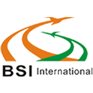 深圳市佰事达通国际货运代理有限公司