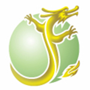 深圳市今丰国际供应链有限公司