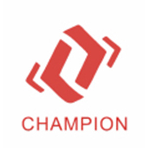 广州冠捷国际货运代理有限公司