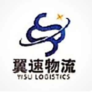 深圳市翼速国际物流有限公司