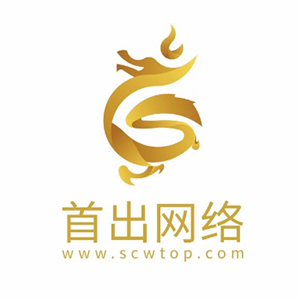 广东首出网络科技有限公司