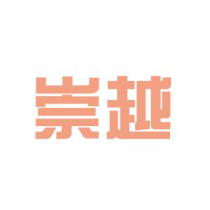 崇越(广州)贸易有限公司