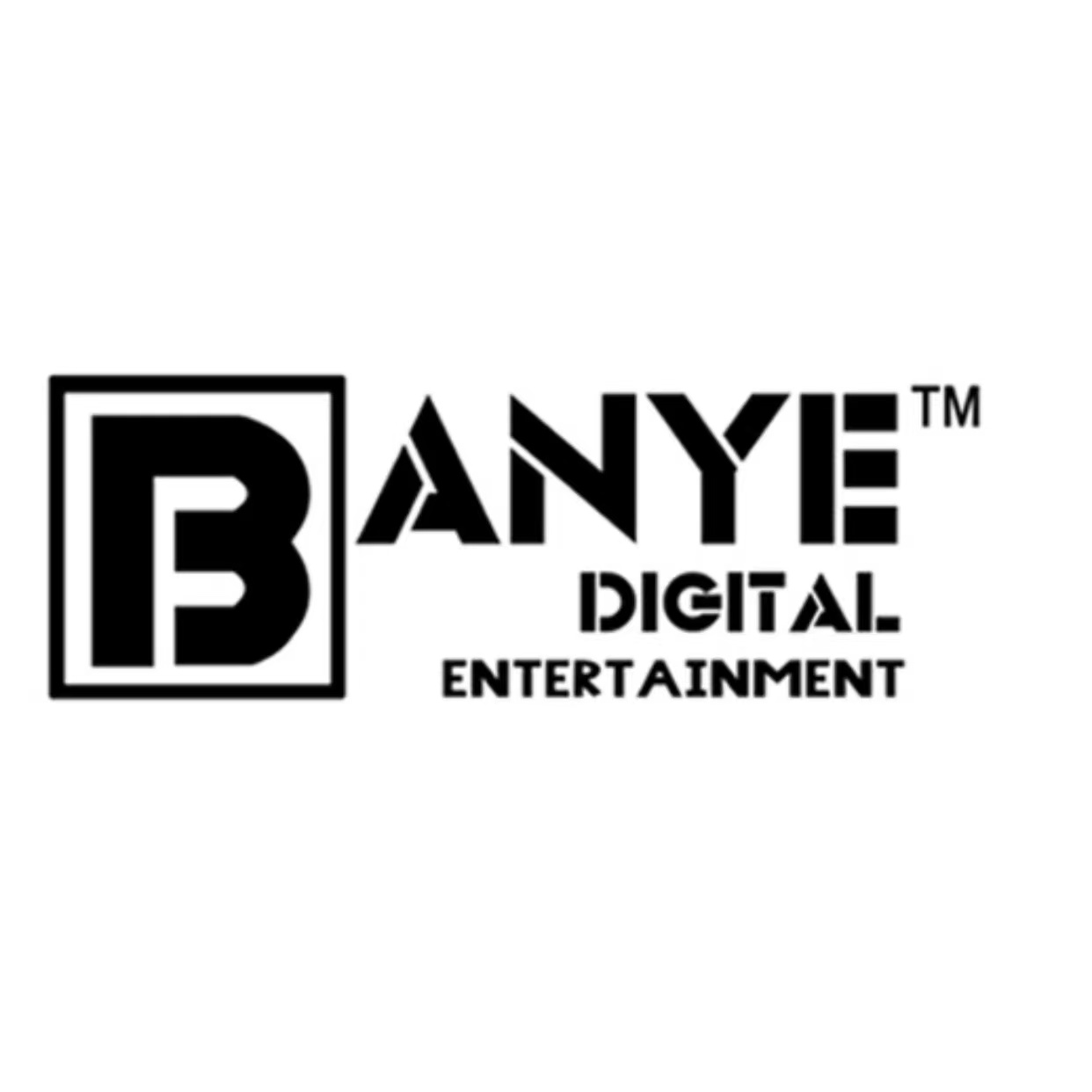 上海半叶数字科技有限公司