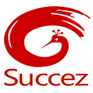 武汉东方赛思软件股份有限公司