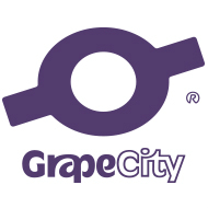 西安葡萄城信息技术有限公司