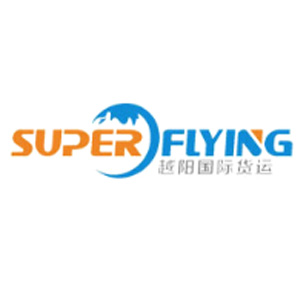 广州越阳国际货运代理有限公司