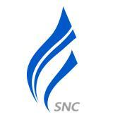 上海新炬网络技术有限公司